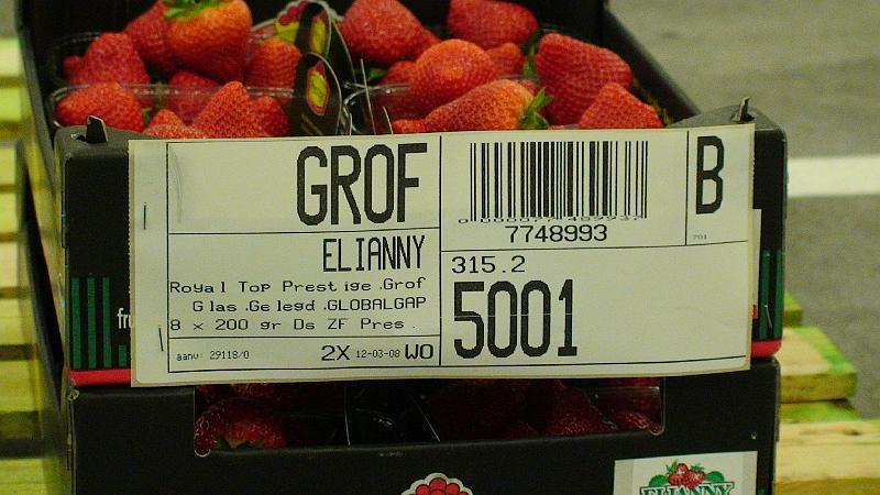 Elianny eerste veiling Fruitmasters Koningsplant john ard leon Vissers aardbeiplanten BV America (21).JPG